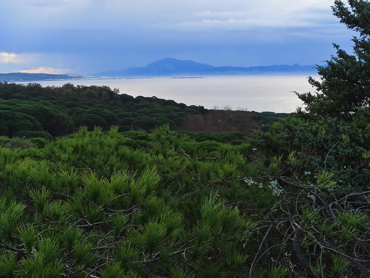 タリファ Casa Tarifenaヴィラ エクステリア 写真